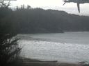 ./images/calvert/beach/20210308/beach20210308_094502.jpg