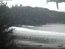 ./images/calvert/beach/20210309/beach20210309_064503.jpg