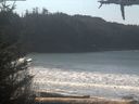 ./images/calvert/beach/20210309/beach20210309_111002.jpg