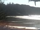 ./images/calvert/beach/20210309/beach20210309_135503.jpg