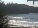 ./images/calvert/beach/20210310/beach20210310_120002.jpg