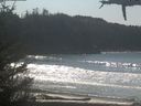 ./images/calvert/beach/20210310/beach20210310_123501.jpg