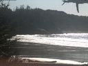 ./images/calvert/beach/20210310/beach20210310_135002.jpg
