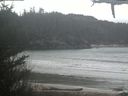 ./images/calvert/beach/20210311/beach20210311_135002.jpg