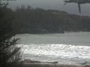 ./images/calvert/beach/20210312/beach20210312_111001.jpg