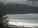 ./images/calvert/beach/20210312/beach20210312_115502.jpg