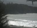 ./images/calvert/beach/20210312/beach20210312_123502.jpg