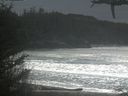 ./images/calvert/beach/20210312/beach20210312_135002.jpg