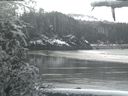 ./images/calvert/beach/20210314/beach20210314_102503.jpg