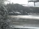 ./images/calvert/beach/20210314/beach20210314_104002.jpg