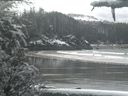 ./images/calvert/beach/20210314/beach20210314_104503.jpg