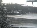./images/calvert/beach/20210314/beach20210314_110502.jpg