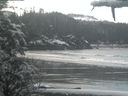 ./images/calvert/beach/20210314/beach20210314_112003.jpg