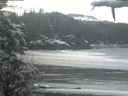 ./images/calvert/beach/20210314/beach20210314_112502.jpg