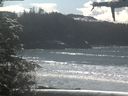 ./images/calvert/beach/20210314/beach20210314_131502.jpg