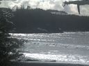 ./images/calvert/beach/20210314/beach20210314_135502.jpg
