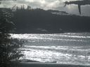 ./images/calvert/beach/20210314/beach20210314_140003.jpg