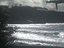 ./images/calvert/beach/20210314/beach20210314_142002.jpg