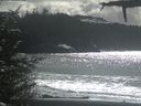 ./images/calvert/beach/20210314/beach20210314_145502.jpg