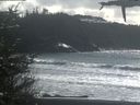 ./images/calvert/beach/20210314/beach20210314_153502.jpg
