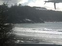 ./images/calvert/beach/20210314/beach20210314_161503.jpg