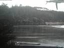 ./images/calvert/beach/20210314/beach20210314_195501.jpg