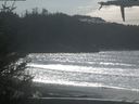 ./images/calvert/beach/20210315/beach20210315_135501.jpg