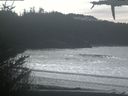 ./images/calvert/beach/20210315/beach20210315_141003.jpg