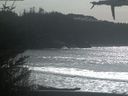 ./images/calvert/beach/20210315/beach20210315_145002.jpg