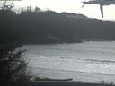 ./images/calvert/beach/20210315/beach20210315_155002.jpg