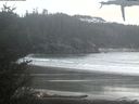 ./images/calvert/beach/20210315/beach20210315_175002.jpg