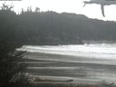 ./images/calvert/beach/20210316/beach20210316_124501.jpg