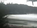 ./images/calvert/beach/20210316/beach20210316_125001.jpg