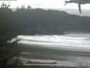./images/calvert/beach/20210316/beach20210316_131503.jpg