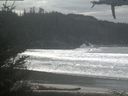 ./images/calvert/beach/20210316/beach20210316_133503.jpg