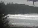 ./images/calvert/beach/20210316/beach20210316_141001.jpg