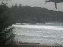 ./images/calvert/beach/20210316/beach20210316_161502.jpg