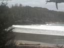 ./images/calvert/beach/20210316/beach20210316_182003.jpg