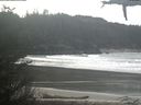 ./images/calvert/beach/20210317/beach20210317_131502.jpg