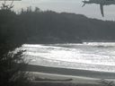./images/calvert/beach/20210317/beach20210317_143501.jpg