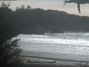./images/calvert/beach/20210317/beach20210317_150503.jpg