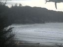 ./images/calvert/beach/20210317/beach20210317_161501.jpg