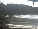./images/calvert/beach/20210319/beach20210319_134501.jpg