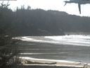 ./images/calvert/beach/20210319/beach20210319_135501.jpg