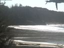 ./images/calvert/beach/20210319/beach20210319_140502.jpg