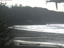 ./images/calvert/beach/20210319/beach20210319_144502.jpg