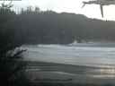 ./images/calvert/beach/20210321/beach20210321_201002.jpg