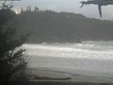 ./images/calvert/beach/20210322/beach20210322_085502.jpg
