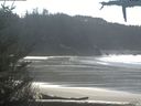 ./images/calvert/beach/20210322/beach20210322_134502.jpg
