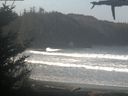 ./images/calvert/beach/20210325/beach20210325_102003.jpg